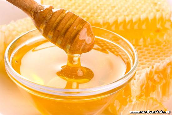 Почему мед полезен для организма человека