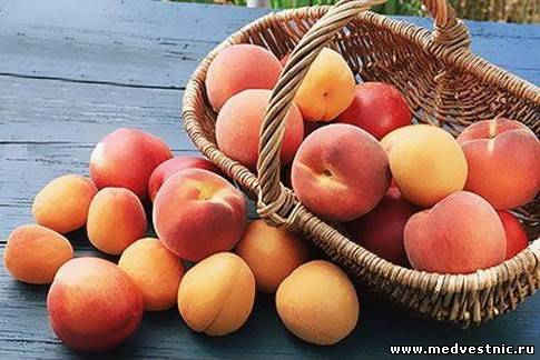 7 достоинств персика